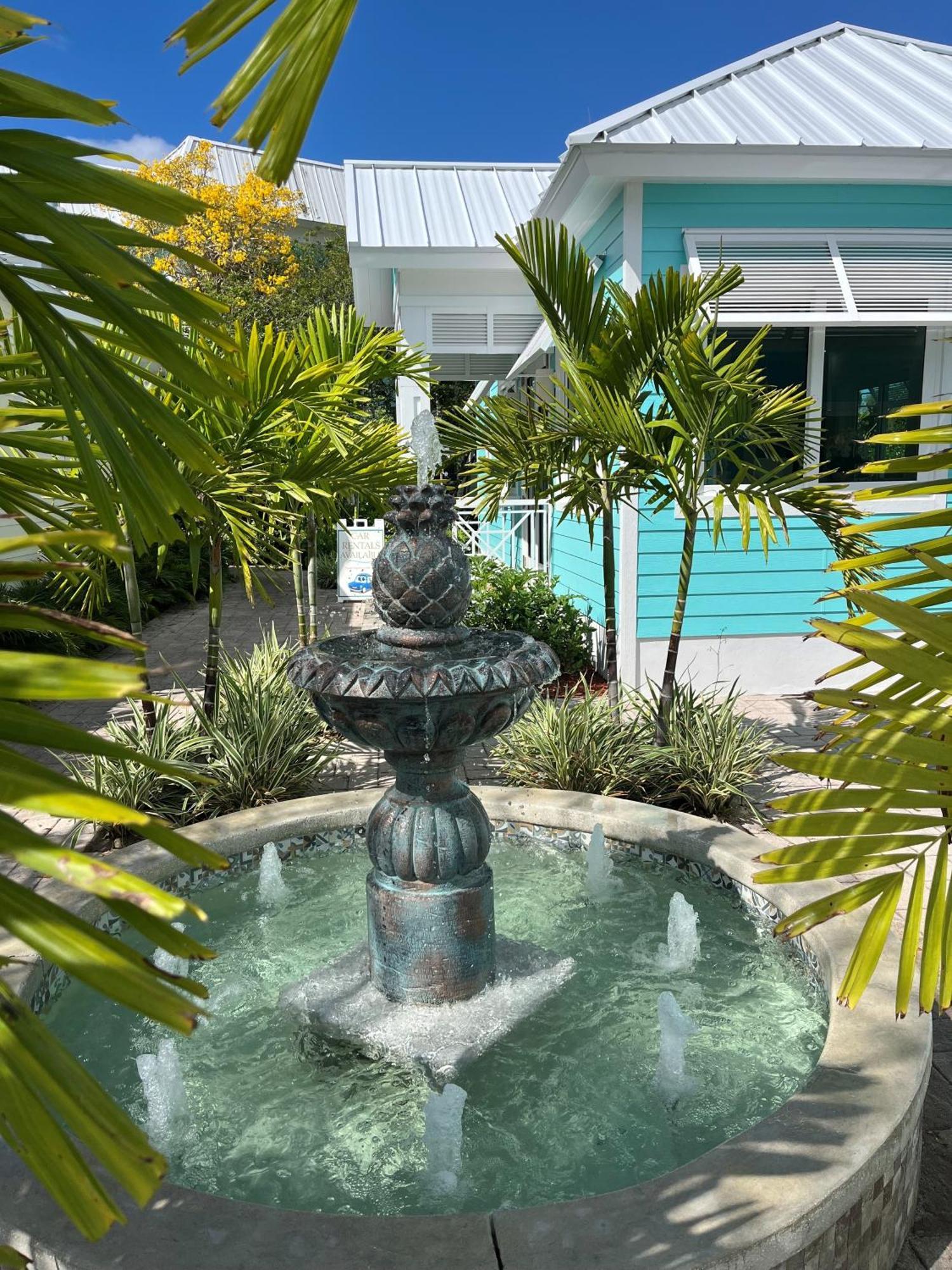 Dolphin Cove (Adults Only) Villa Freeport Exteriör bild